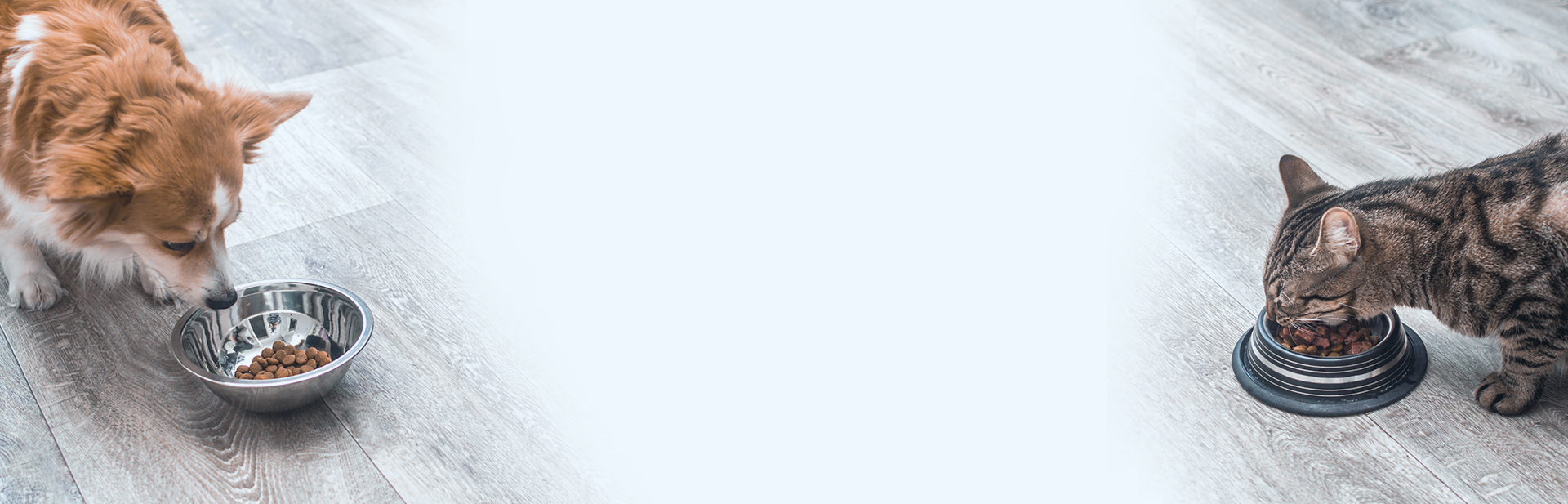 진료 안내 배경